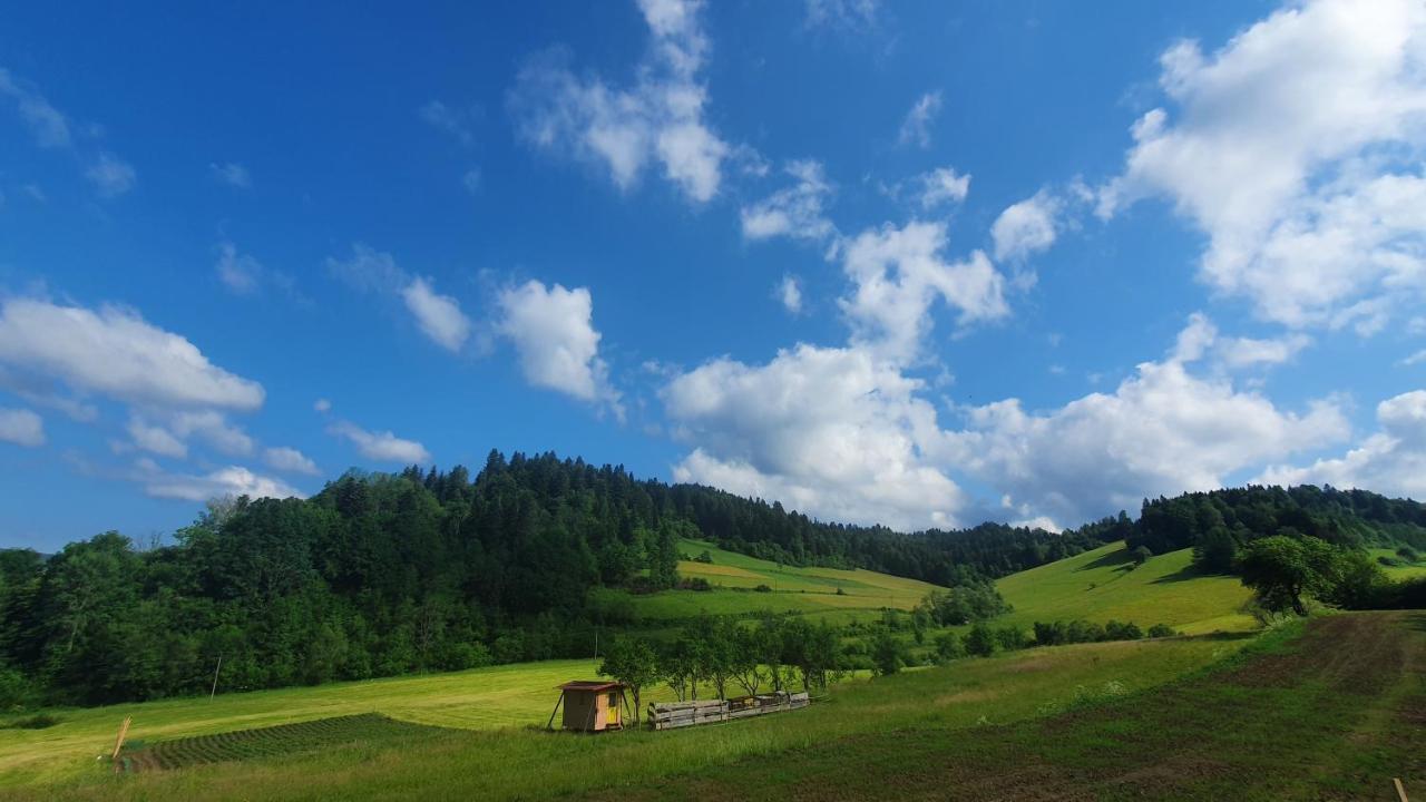 Dolina Bialego Wilka - Niebieskie Lodge *