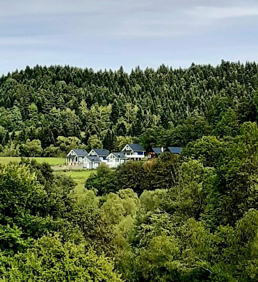 Dolina Bialego Wilka - Niebieskie